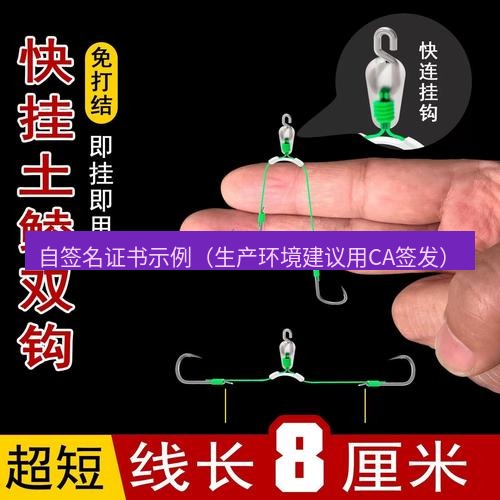 快连 自签名证书示例（生产环境建议用CA签发）