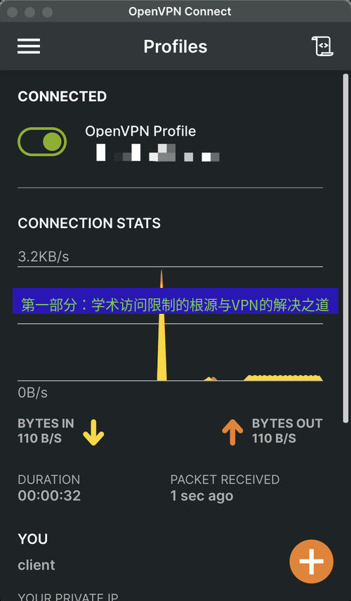 快连VPN 第一部分：学术访问限制的根源与VPN的解决之道