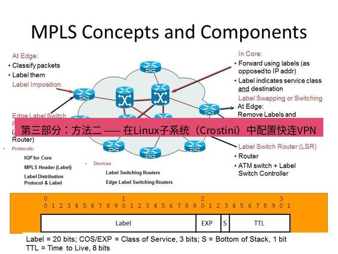快连VPN 第三部分：方法二 —— 在Linux子系统（Crostini）中配置快连VPN