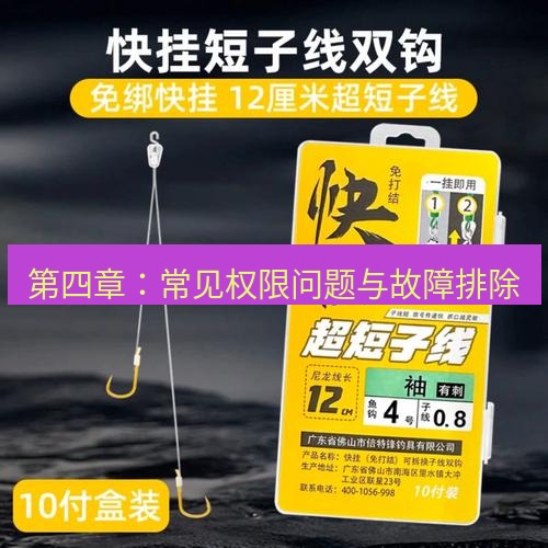 快连 第四章：常见权限问题与故障排除