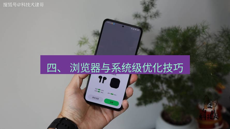 快连 四、 浏览器与系统级优化技巧