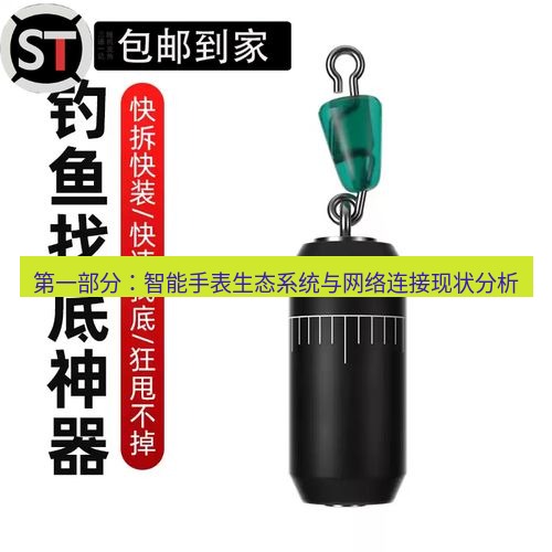 快连 第一部分：智能手表生态系统与网络连接现状分析